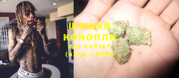 дживик Лагань