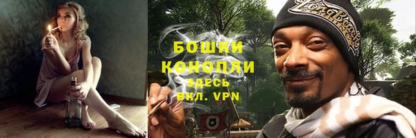 дживик Лагань