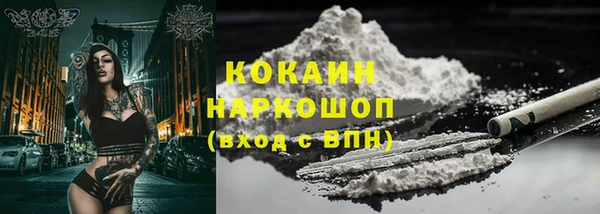 дживик Лагань