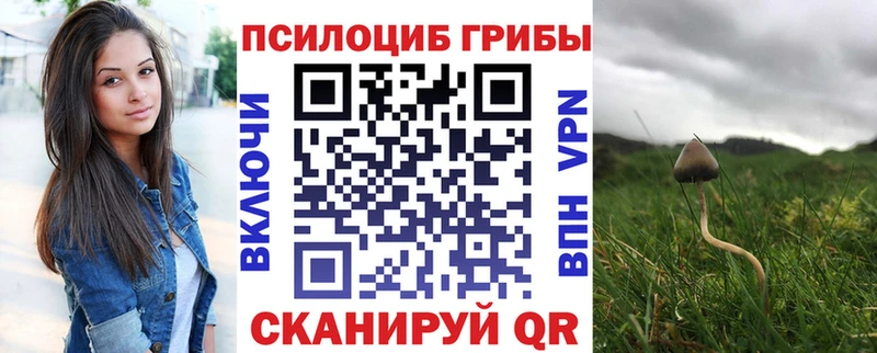 Купить  Симферополь  Псилоцибиновые грибы прущие грибы 